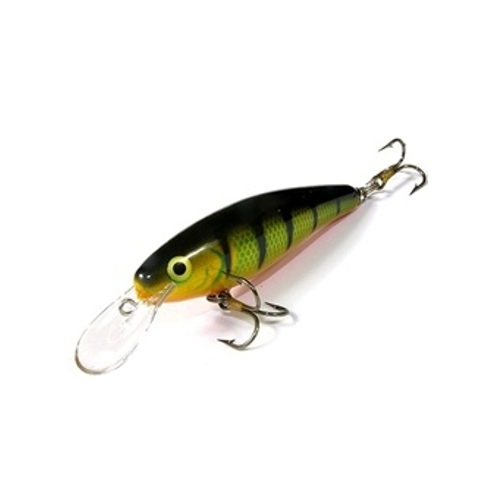 Calypso F6 Calypso F6