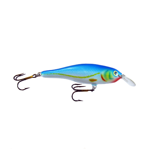Calypso F8 MR B Calypso F8 MR B