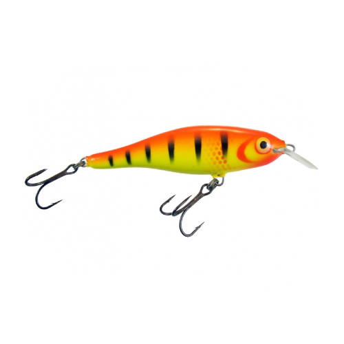 Calypso F8 MR FRP Calypso F8 MR FRP
