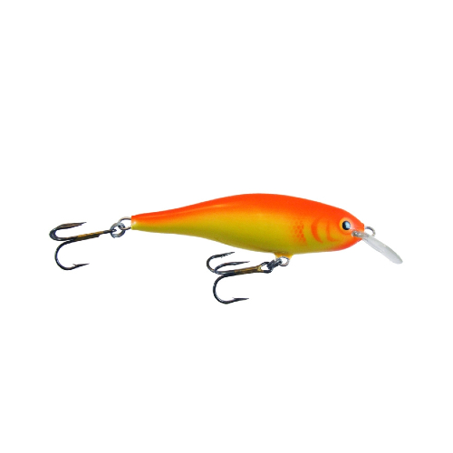 Calypso F8 MR GFR Calypso F8 MR GFR