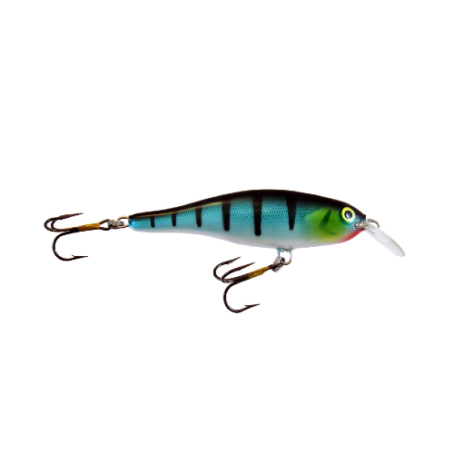 Calypso F8 MR P Calypso F8 MR P