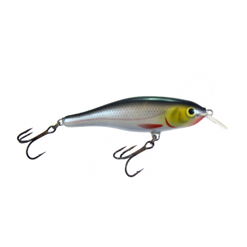Calypso F8 MR S Calypso F8 MR S