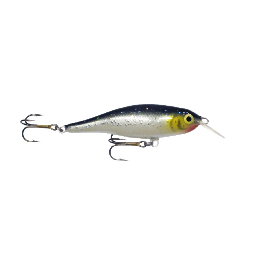 Calypso F8 MR SS Calypso F8 MR SS