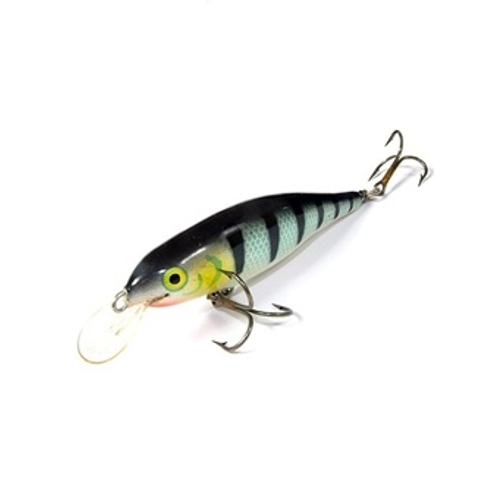 Calypso F8 MR Calypso F8 MR