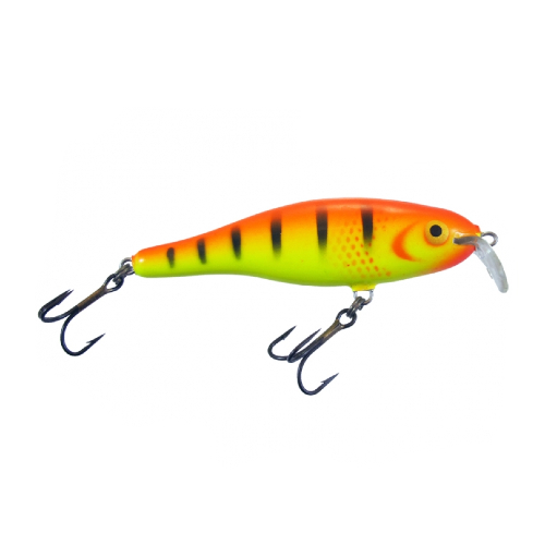 Calypso F8 SR FRP Calypso F8 SR FRP