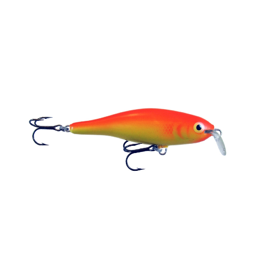 Calypso F8 SR GFR Calypso F8 SR GFR