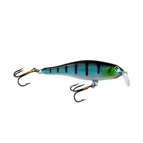 Calypso F8 SR P Calypso F8 SR P