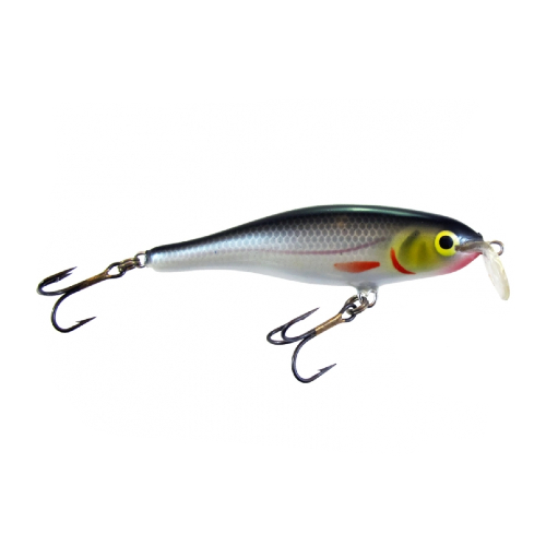 Calypso F8 SR S Calypso F8 SR S