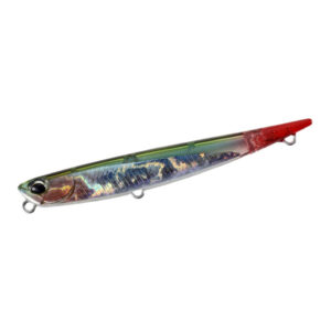 Bleeding-Anchovy