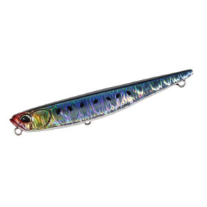 Genkai-Sardine