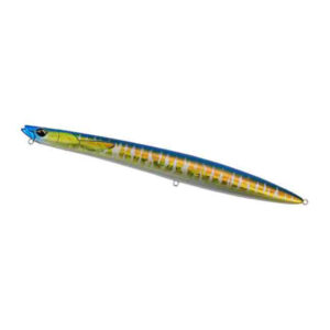 Wahoo