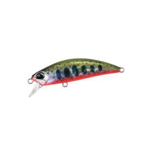 Yamame-Red-Belly